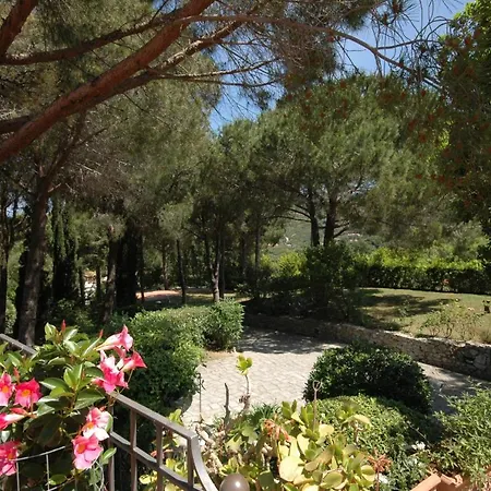 Il Cappero Con Vista Mare Procchio